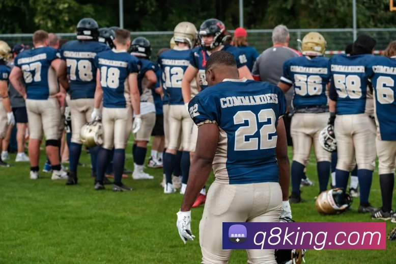 Q8娱乐城官网平台生态图